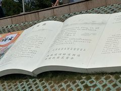 -观潮胜地公园