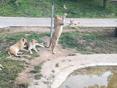-西安秦岭野生动物园