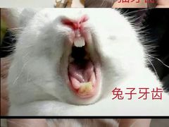 -唐猛猛湘乐汇(银泰城店)