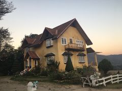 -黄色小屋