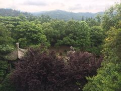 金牛山大酒店-金牛山大酒店(南北湖风景区店)