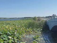 -呼兰河口湿地公园
