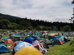-武陵山森林公园