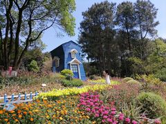 -铁山坪森林公园