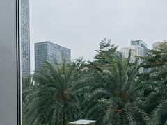 -大中华希尔顿酒店-念自助餐·嗨啤·小龙虾