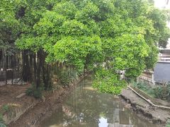 -小洲村