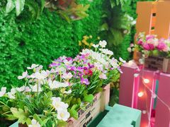 -摩登百货(岗顶店)