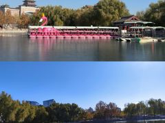 -莲花池公园