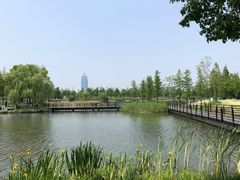 -桐乡凤凰湖