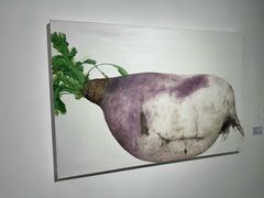 -辰熙ACX星海艺术中心