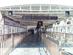 -武汉关码头(轮渡站)