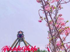 -观澜湖生态运动公社