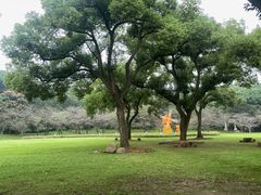 -苏州上方山国家森林公园