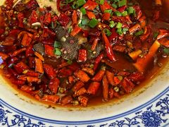 -院8里·少城记忆老川菜(宽窄巷子店)