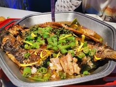 -马邦子·紫苏烤鱼(恒隆广场店)