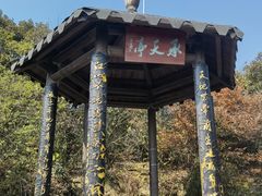 -杭州半山国家森林公园