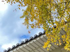 -江心屿景区