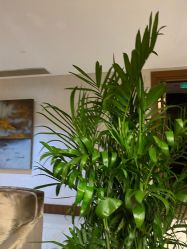 点击看大图 -白珂舞蹈教室