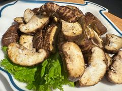 -杨记齐齐哈尔烤肉(总店)