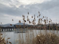 -石塘人家