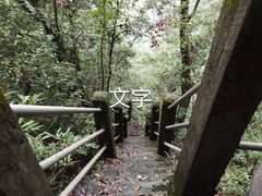 -旗山国家森林公园