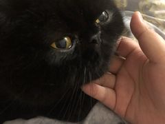 -博特宠物医院24h犬猫全科.骨科·异宠