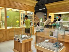 -帕帕拉兹宠物(亚洲旗舰店)