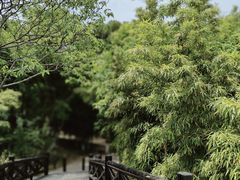 -沙家浜风景区