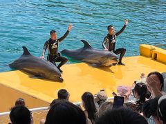 -秦皇岛乐岛海洋王国