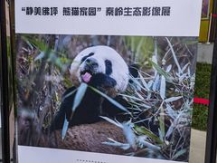 -西安电影制片厂