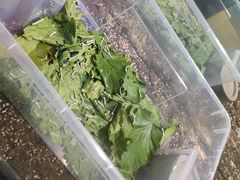 -上海昆虫博物馆