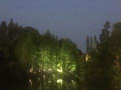 -金山植物公园
