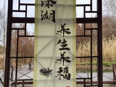 -溱湖国家湿地公园