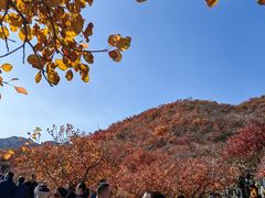 -周口店坡峰岭风景区