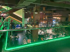 -三强鸽子(中原路店)