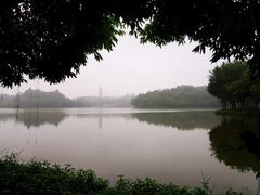 -三水森林公园