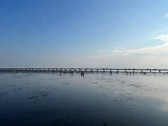 -南汇新城海滩