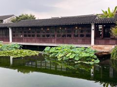 -艺圃