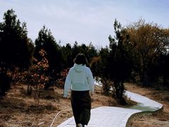 -白水寺森林公园