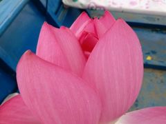 -沈阳辉山风景区