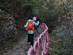 -黄山翡翠谷景区