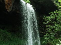 -龙苍沟森林公园