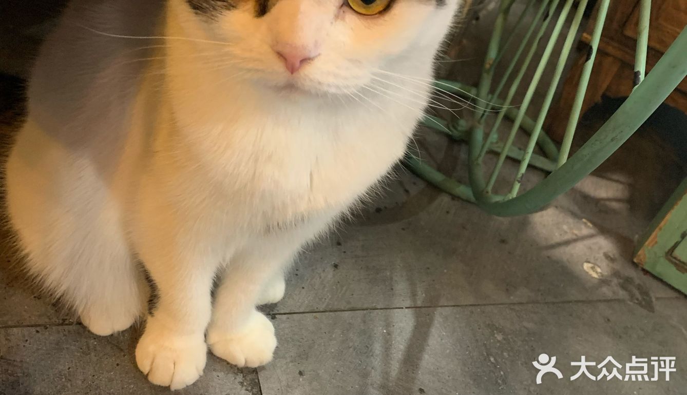 爽朗可口,祝店家生意兴隆!