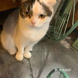 爽朗可口,祝店家生意兴隆!