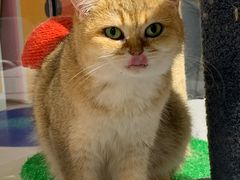 -上海三联书店READWAY(华中首店)