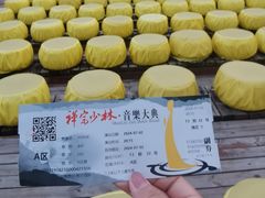 -禅宗少林·音乐大典