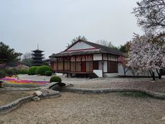 -北京世界公园