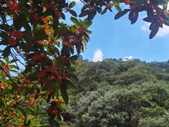 -宁波五龙潭景区