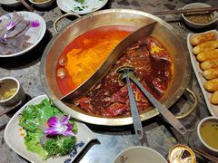 -小龙坎火锅(总店)