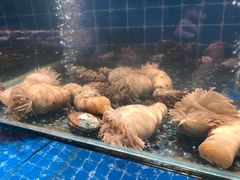 -健眺小海鲜(临海后山店)